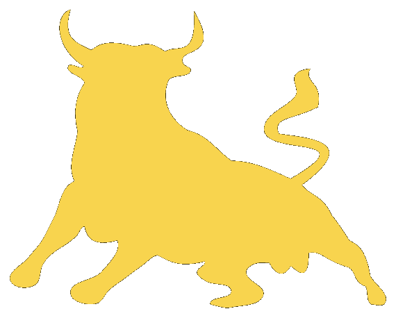 Finance Bro logo